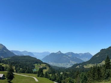 img_7261