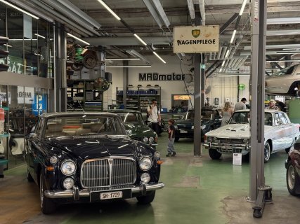 IMG_8525